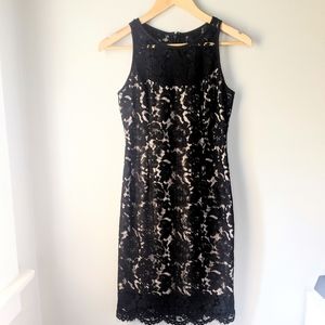 WHBM Black Lace Dress